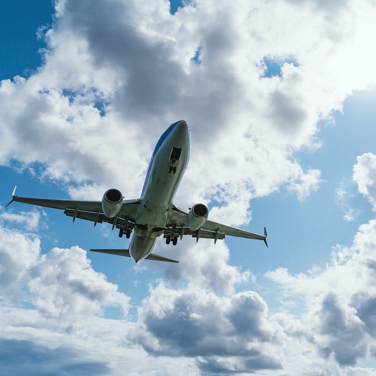 墨尔本机场巴士专车接送服务 | Melbourne Airport Bus Transfer Service