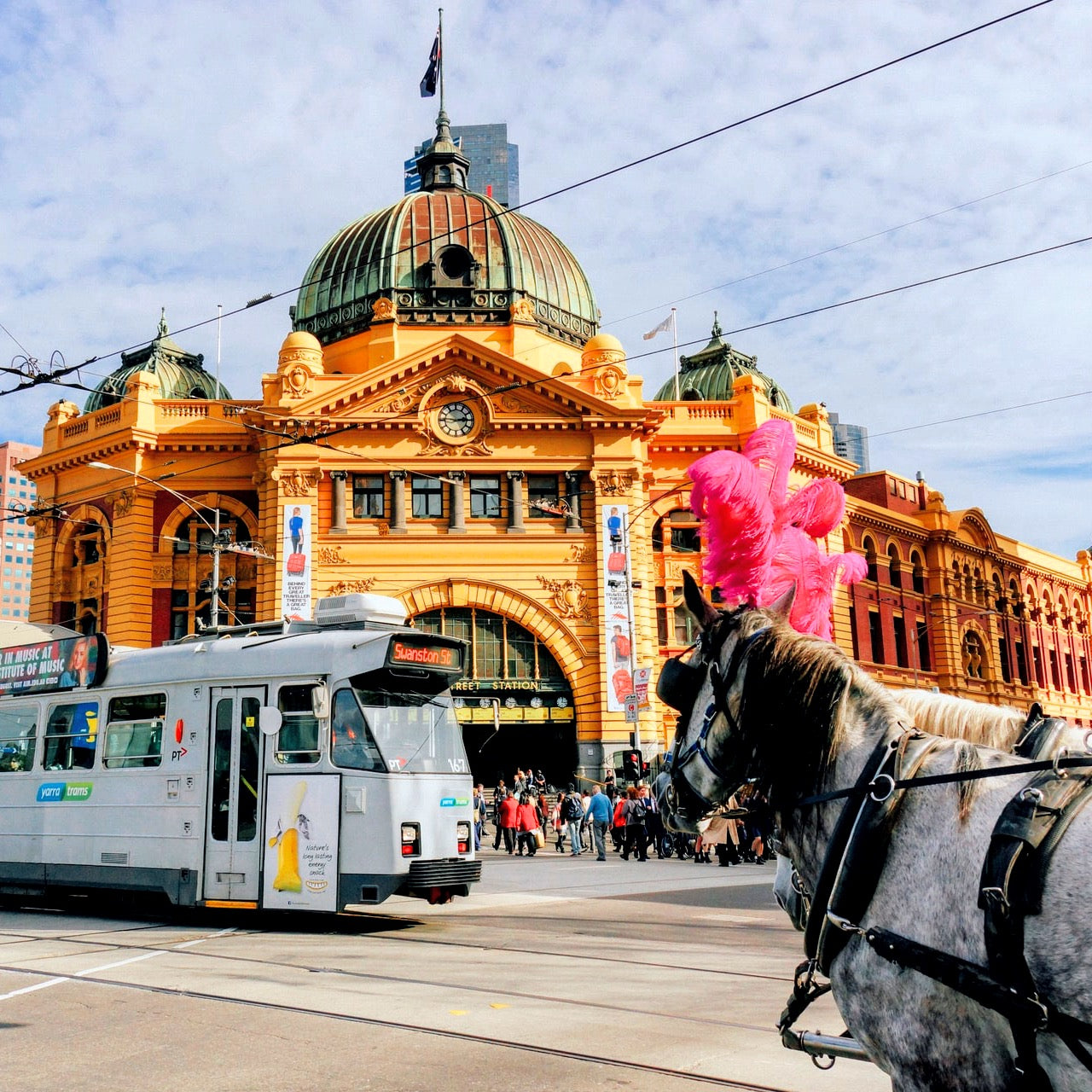墨尔本城市历史文化步行游