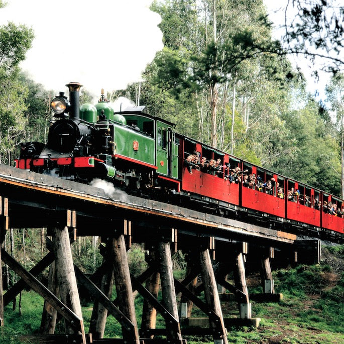 蒸汽小火车+企鹅岛一日游|拼车出行