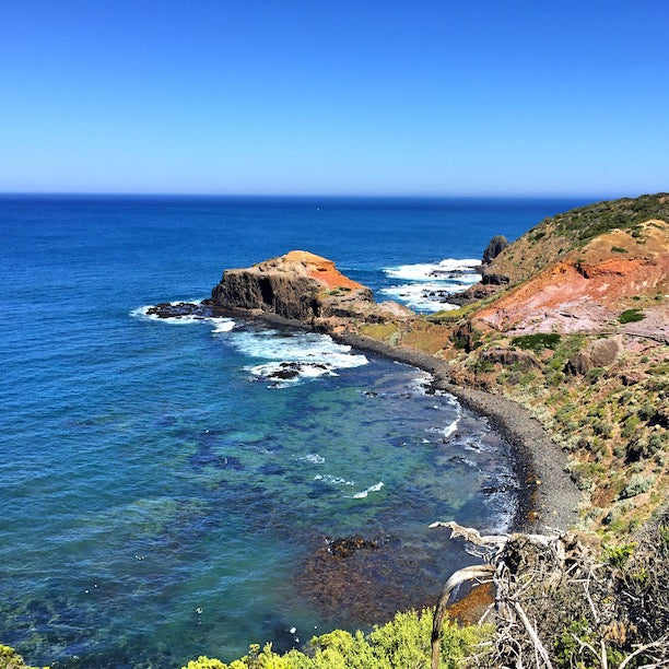 莫宁顿半岛一日游