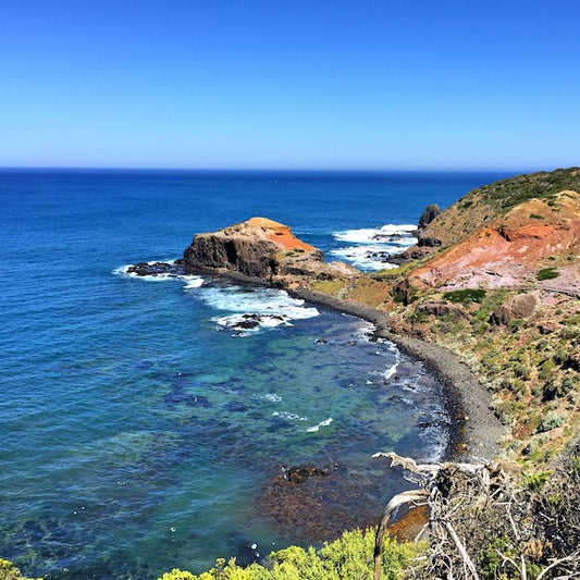 莫宁顿半岛一日游
