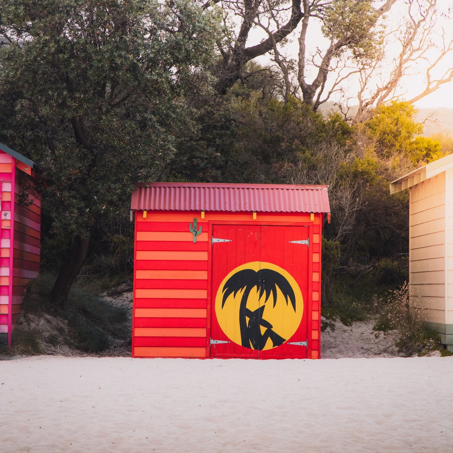 莫宁顿半岛一日游