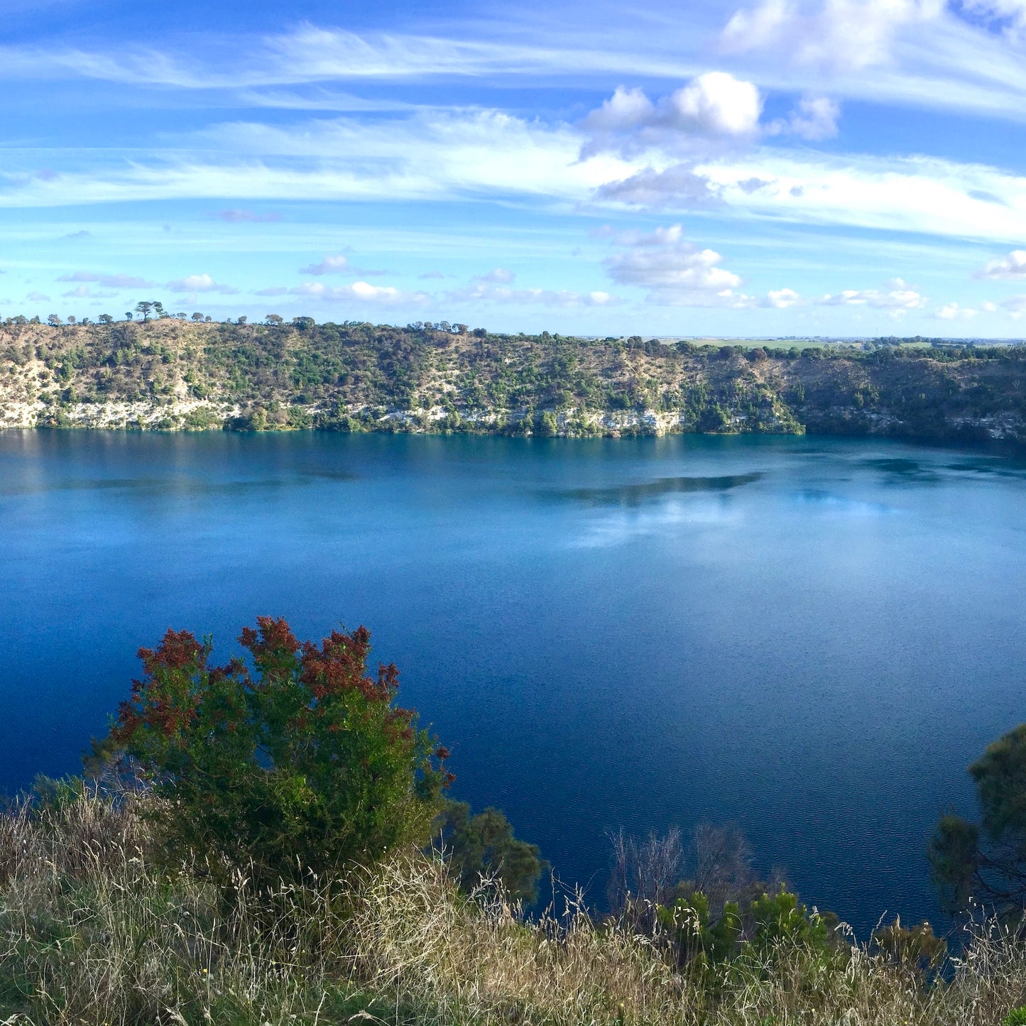 墨尔本-阿德莱德公路旅行(6日)