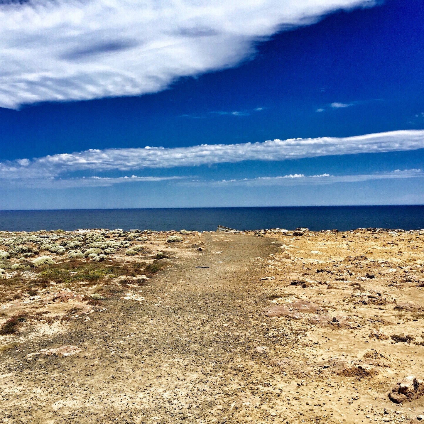 墨尔本-阿德莱德公路旅行(6日)