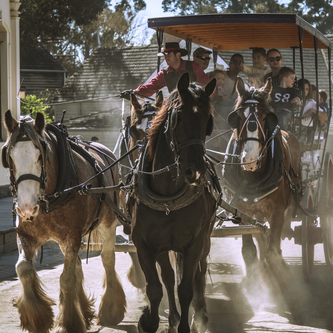 疏芬山金矿+格兰屏国家公园两日游