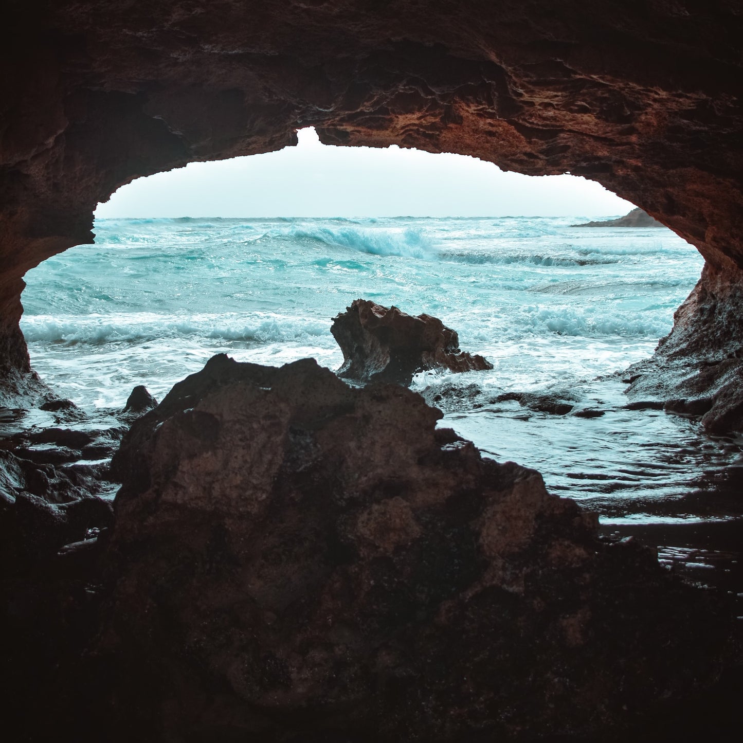 莫宁顿半岛一日游