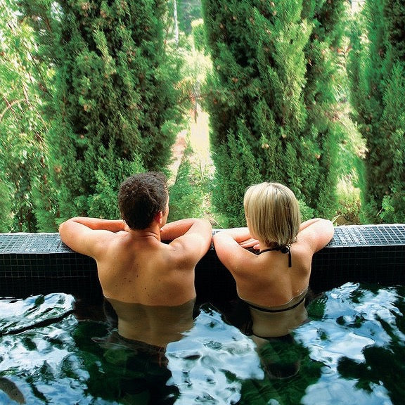 莫宁顿半岛一日游